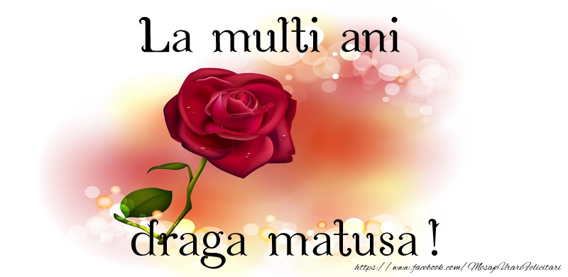 Felicitari de zi de nastere pentru Matusa - La multi ani draga matusa!