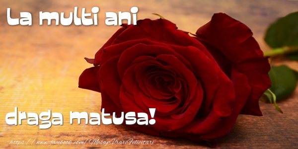 Felicitari de zi de nastere pentru Matusa - La multi ani draga matusa!