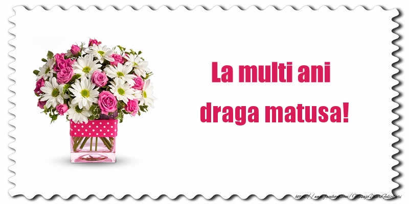 Felicitari de zi de nastere pentru Matusa - La multi ani matusa mea!