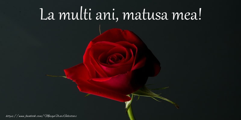 Felicitari de zi de nastere pentru Matusa - La multi ani matusa mea!