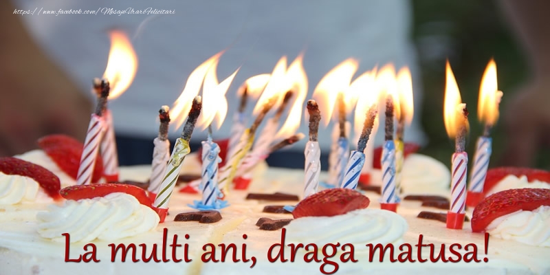 Felicitari de zi de nastere pentru Matusa - La multi ani draga matusa!