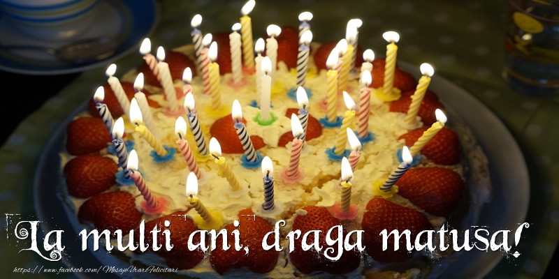 Felicitari de zi de nastere pentru Matusa - La multi ani, draga matusa!