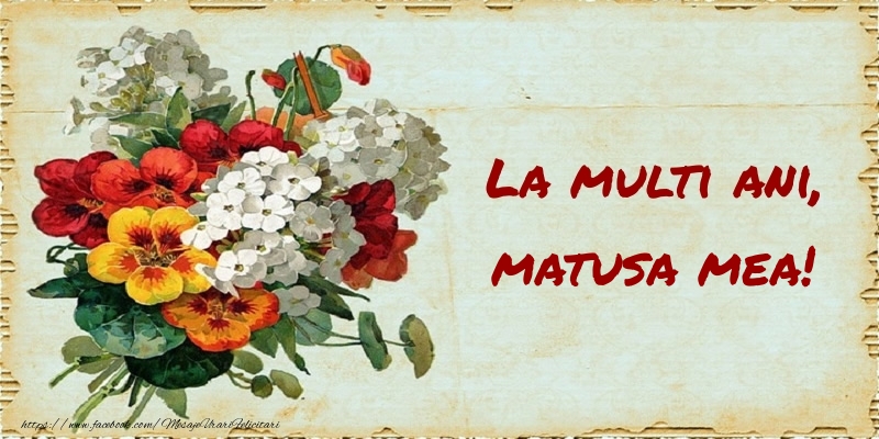 Felicitari de zi de nastere pentru Matusa - La multi ani, matusa mea!