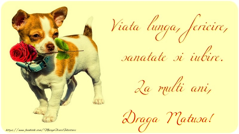 Felicitari de zi de nastere pentru Matusa - Viata lunga, fericire, sanatate si iubire. La multi ani, draga matusa