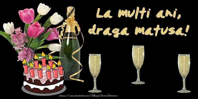 Felicitari de zi de nastere pentru Matusa - Felicitare cu tort, flori si sampanie: La multi ani, draga matusa!
