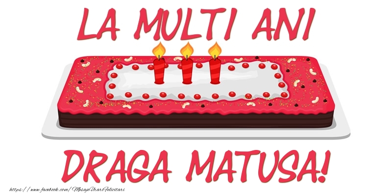 Felicitari de zi de nastere pentru Matusa - Tort La multi ani draga matusa!