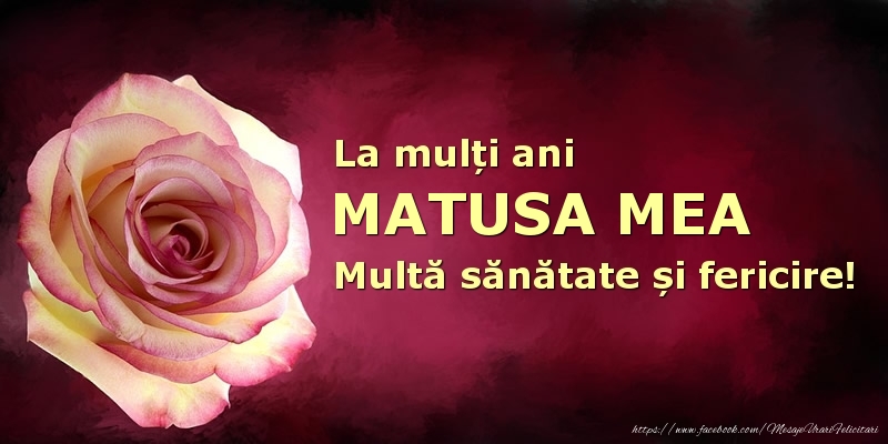Felicitari de zi de nastere pentru Matusa - La mulți ani matusa mea! Multă sănătate și fericire!