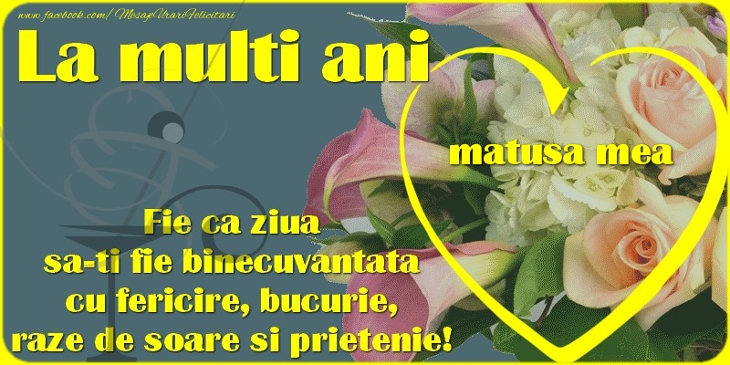 Felicitari de zi de nastere pentru Matusa - La multi ani, matusa mea. Fie ca ziua sa-ti fie binecuvantata cu fericire, bucurie, raze de soare si prietenie!