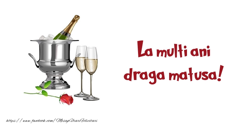 Felicitari de zi de nastere pentru Matusa - La multi ani draga matusa!