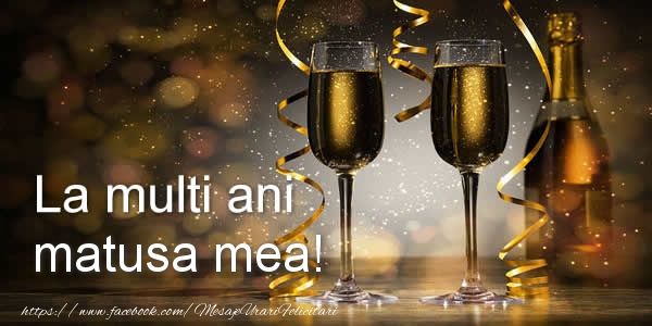 Felicitari de zi de nastere pentru Matusa - La multi ani matusa mea!