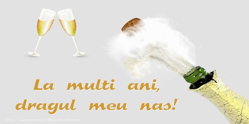 Felicitari de zi de nastere pentru Nas - La multi ani, dragul meu nas!