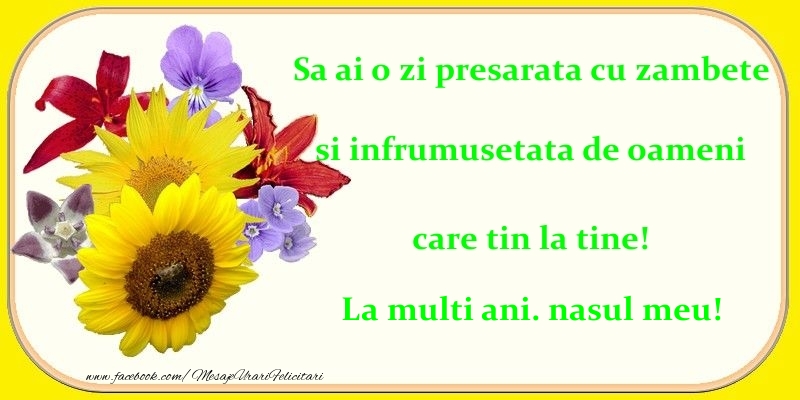 Felicitari de zi de nastere pentru Nas - Sa ai o zi presarata cu zambete si infrumusetata de oameni care tin la tine! nasul meu