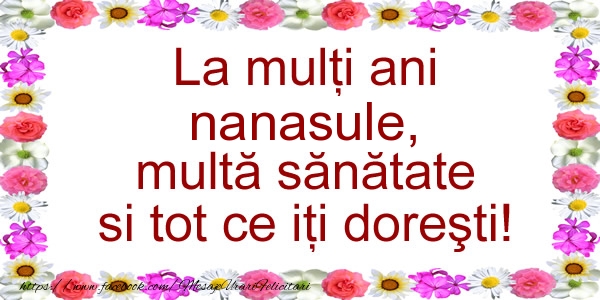 Felicitari de zi de nastere pentru Nas - La multi ani nanasule, multa sanatate si tot ce iti doresti!