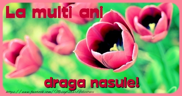 Felicitari de zi de nastere pentru Nas - La multi ani draga nasule