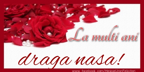 Felicitari de zi de nastere pentru Nasa - La multi ani draga nasa!