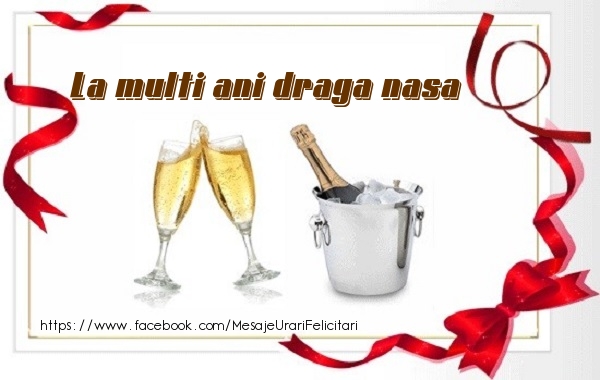 Felicitari de zi de nastere pentru Nasa - La multi ani draga nasa