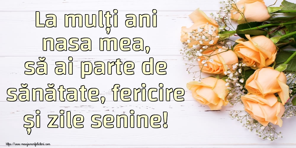 Felicitari de zi de nastere pentru Nasa - La mulți ani nasa mea, să ai parte de sănătate, fericire și zile senine!