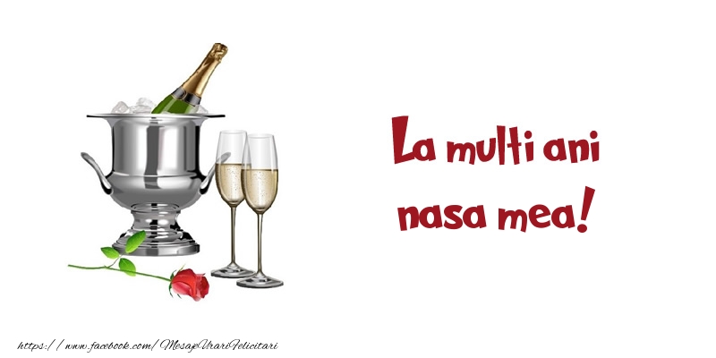 Felicitari de zi de nastere pentru Nasa - La multi ani nasa mea!