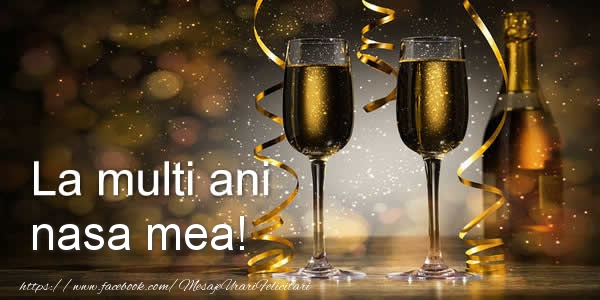 Felicitari de zi de nastere pentru Nasa - La multi ani nasa mea!