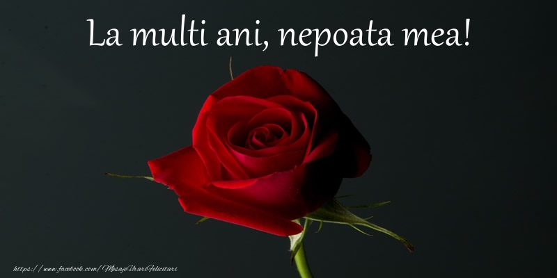 Felicitari de zi de nastere pentru Nepoata - La multi ani nepoata mea!
