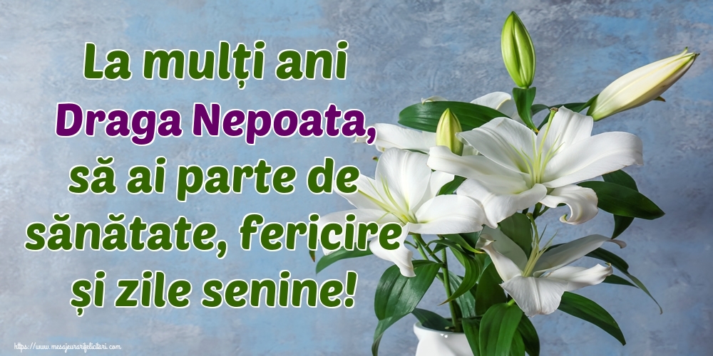 Felicitari de zi de nastere pentru Nepoata - La mulți ani draga nepoata, să ai parte de sănătate, fericire și zile senine!
