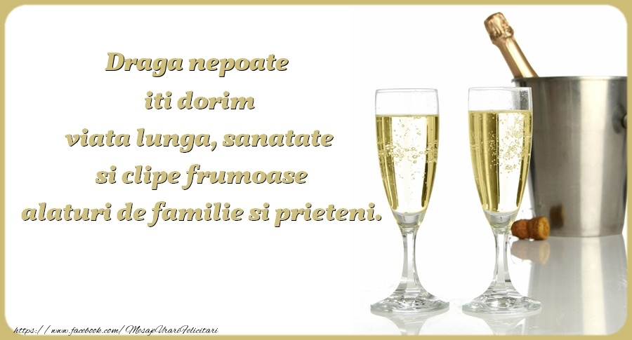Felicitari de zi de nastere pentru Nepot - Draga nepoate iti dorim viata lunga, sanatate si clipe frumoase alaturi de familie si prieteni. Cu drag