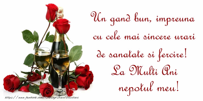 Felicitari de zi de nastere pentru Nepot - Un gand bun, impreuna cu cele mai sincere urari de sanatate si fercire! La Multi Ani nepotul meu!