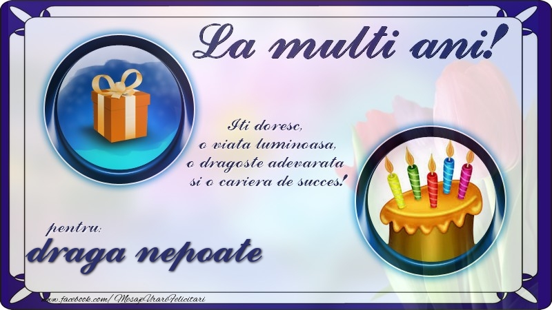 Felicitari de zi de nastere pentru Nepot - La multi ani, pentru draga nepoate! Iti doresc,  o viata luminoasa, o dragoste adevarata  si o cariera de succes!