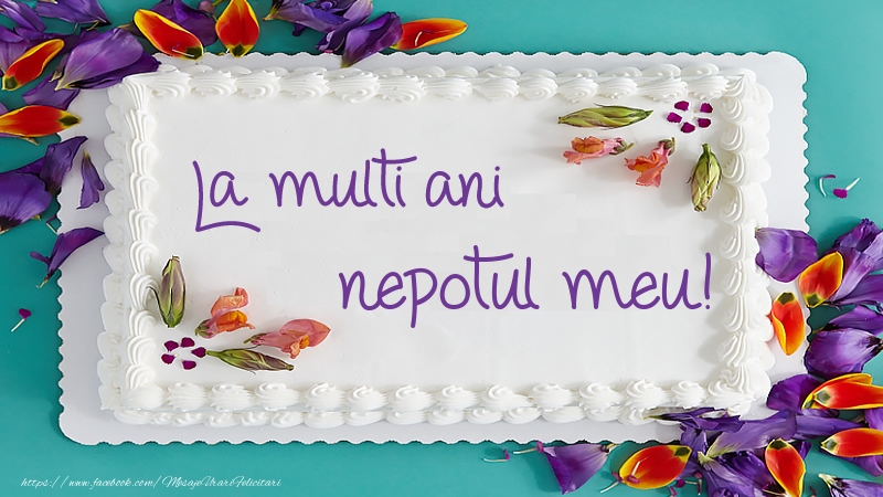 Felicitari de zi de nastere pentru Nepot - Tort La multi ani nepotul meu!