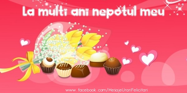 Felicitari de zi de nastere pentru Nepot - La multi ani nepotul meu