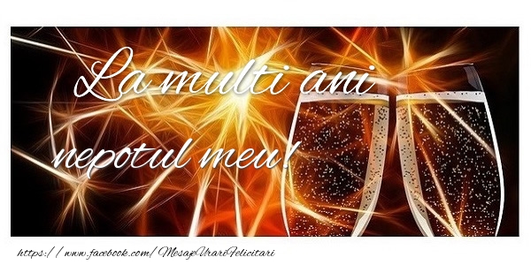 Felicitari de zi de nastere pentru Nepot - La multi ani nepotul meu!