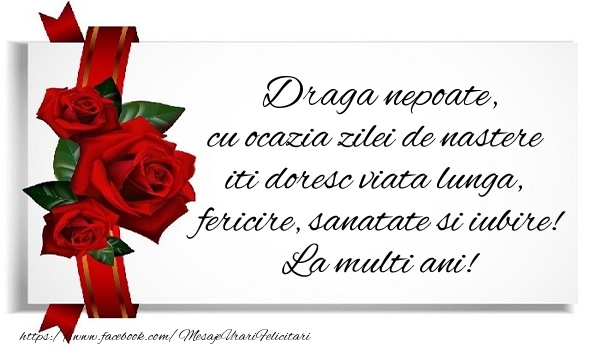 Zi de nastere Draga nepoate cu ocazia zilei de nastere iti doresc viata lunga, fericire, sanatate si iubire. La multi ani!