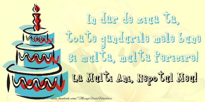 Felicitari de zi de nastere pentru Nepot - In dar de ziua ta,  toate gandurile mele bune  si multa, multa fericire! La mullti ani, nepotul meu