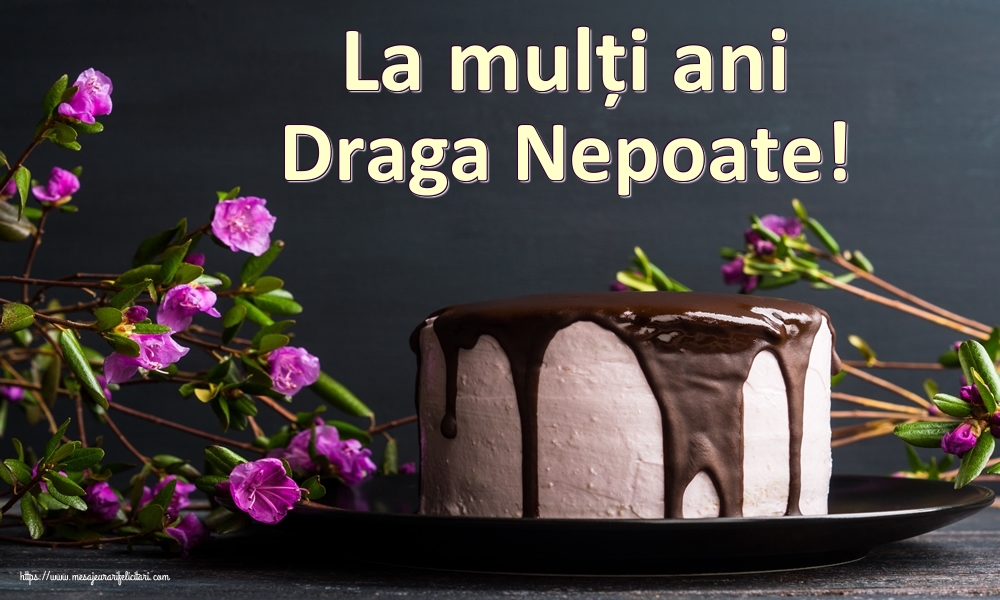 Felicitari de zi de nastere pentru Nepot - La mulți ani draga nepoate!
