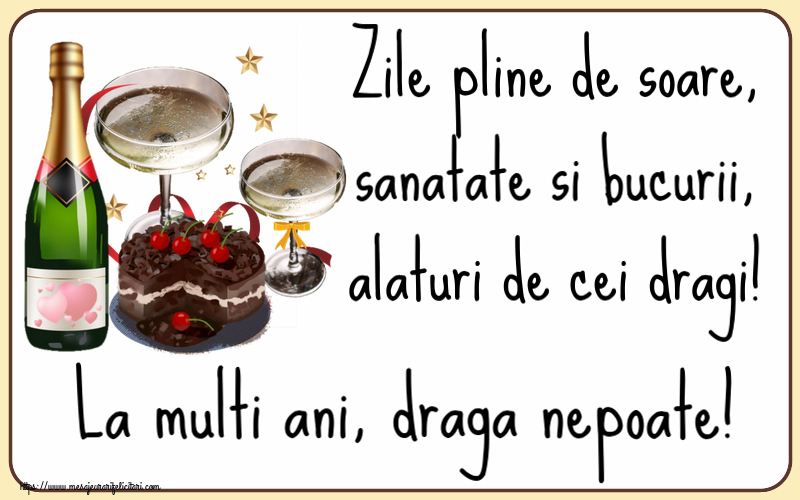 Felicitari de zi de nastere pentru Nepot - Zile pline de soare, sanatate si bucurii, alaturi de cei dragi! La multi ani, draga nepoate!