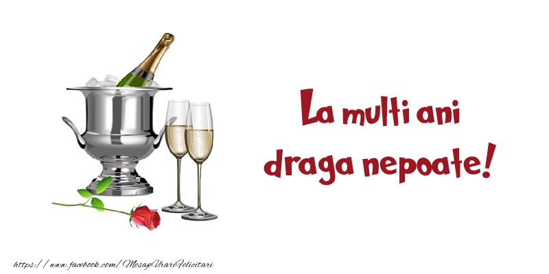 Felicitari de zi de nastere pentru Nepot - La multi ani draga nepoate!