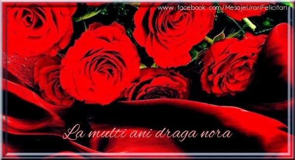 Felicitari de zi de nastere pentru Nora - La multi ani draga nora