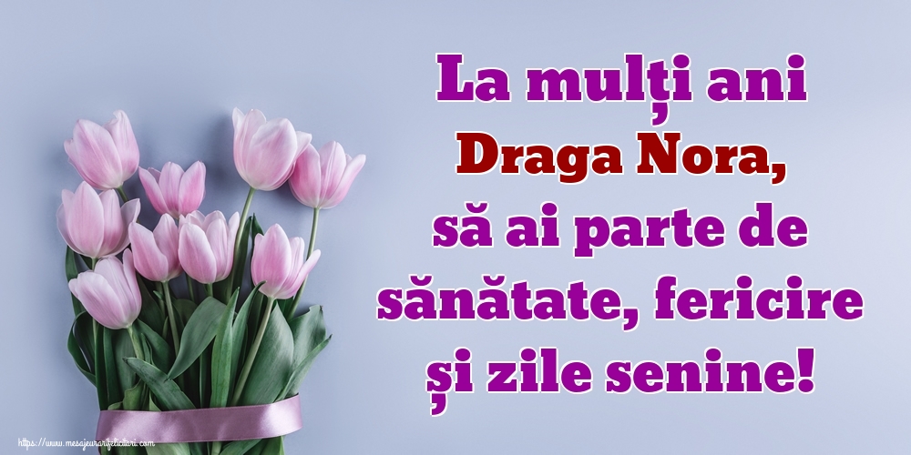 Felicitari de zi de nastere pentru Nora - La mulți ani draga nora, să ai parte de sănătate, fericire și zile senine!