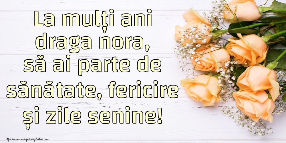Felicitari de zi de nastere pentru Nora - La mulți ani draga nora, să ai parte de sănătate, fericire și zile senine!