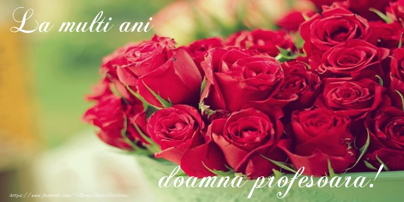 Felicitari de zi de nastere pentru Profesoara - La multi ani doamna profesoara!