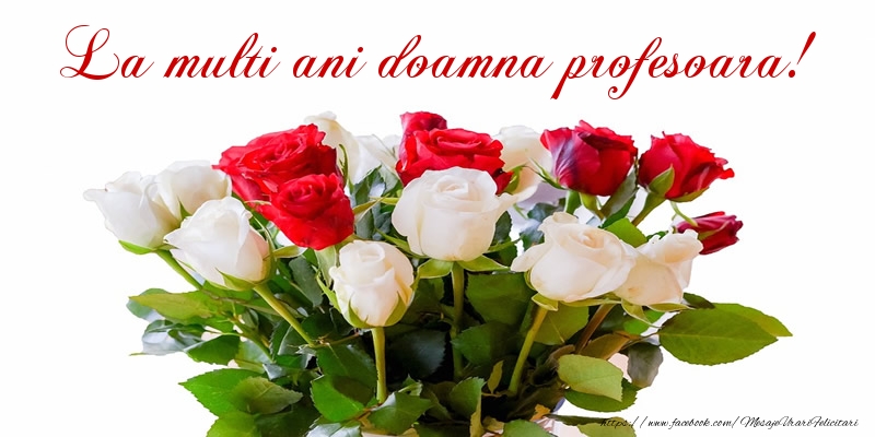 Felicitari de zi de nastere pentru Profesoara - La multi ani doamna profesoara!