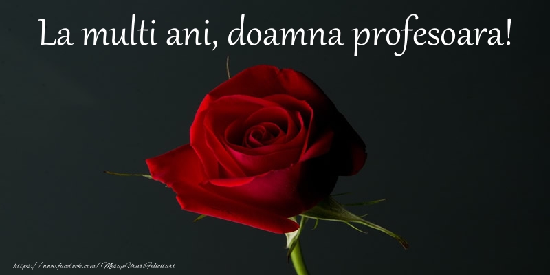 Felicitari de zi de nastere pentru Profesoara - La multi ani doamna profesoara!