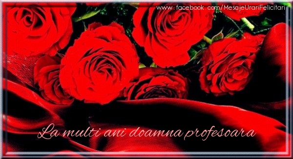 Felicitari de zi de nastere pentru Profesoara - La multi ani doamna profesoara