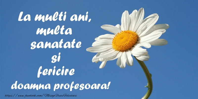 Felicitari de zi de nastere pentru Profesoara - La multi ani, multa sanatate si fericire doamna profesoara!