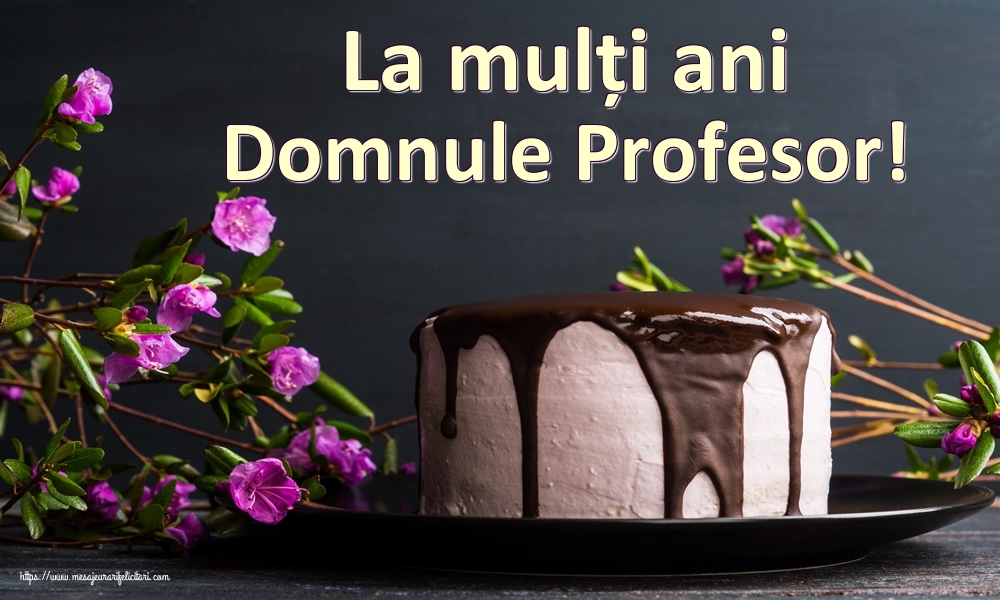 Felicitari de zi de nastere pentru Profesor - La mulți ani domnule profesor!