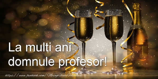 Felicitari de zi de nastere pentru Profesor - La multi ani domnule profesor!