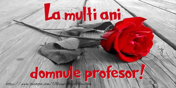 Felicitari de zi de nastere pentru Profesor - La multi ani domnule profesor!