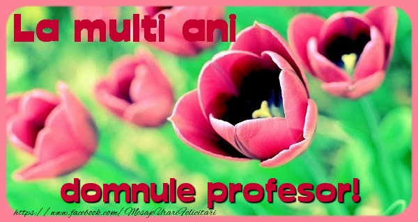 Felicitari de zi de nastere pentru Profesor - La multi ani domnule profesor