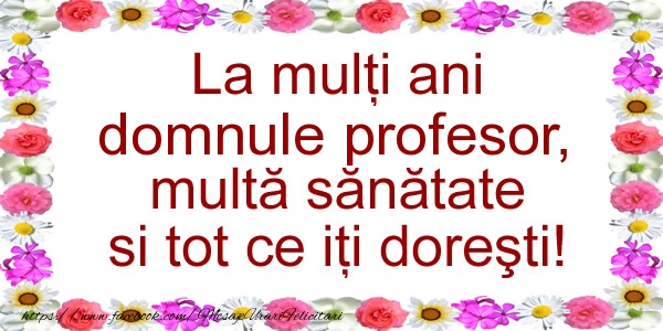 Felicitari de zi de nastere pentru Profesor - La multi ani domnule profesor, multa sanatate si tot ce iti doresti!