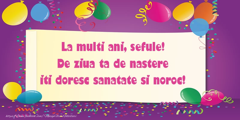 Felicitari de zi de nastere pentru Sef - La multi ani sefule. De ziua ta de nastere iti doresc sanatate si noroc!